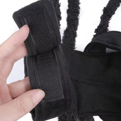 Spider Dog Halloween Costume | Dog Costume Outfit