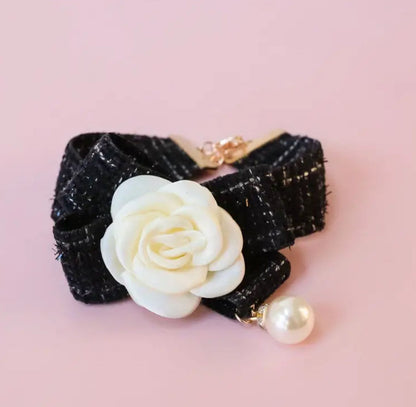 Coco Chewnel Dog Collar | Dog Collar