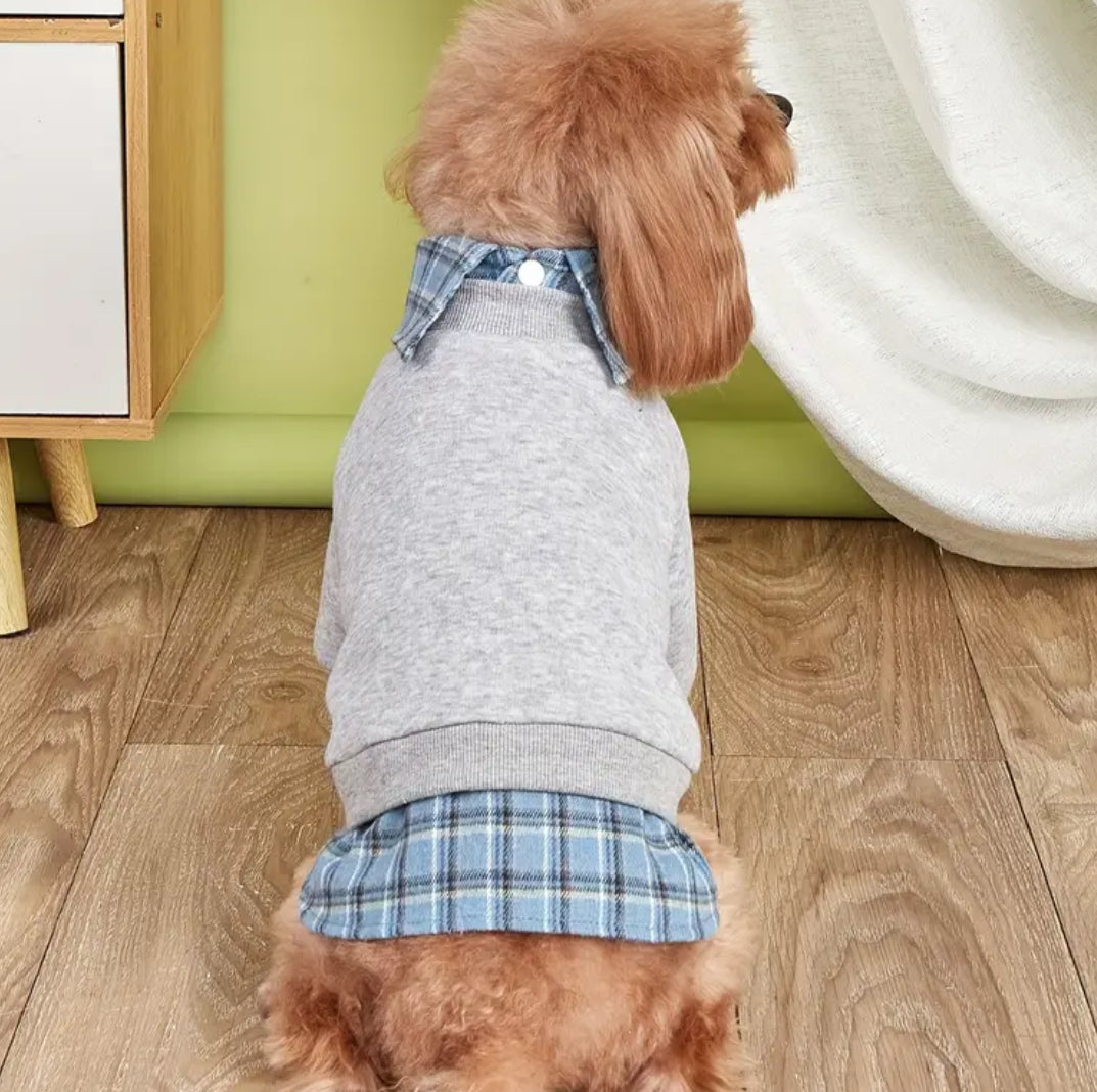 Adam Dog Sweater | Layered Dog Shirt and Knit Sweater