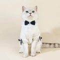 Charlise Shirt & Bow Set for Dogs – Elegant Dog Shirt Outfit