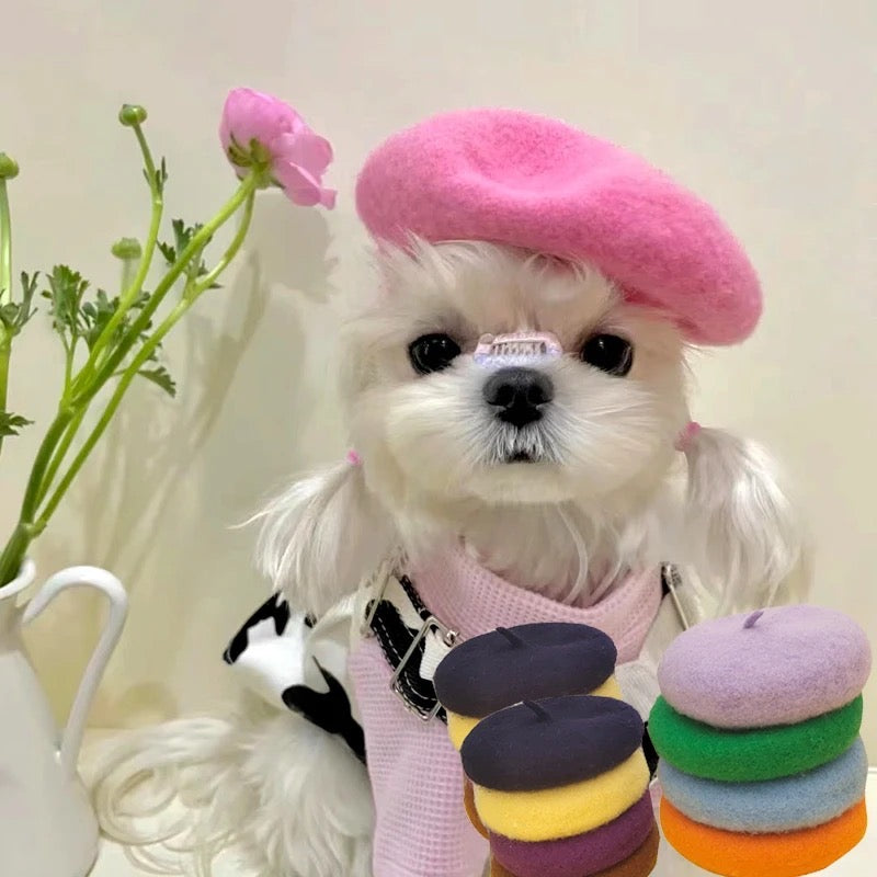 Dog Beret Hat | Paris Dog Beret