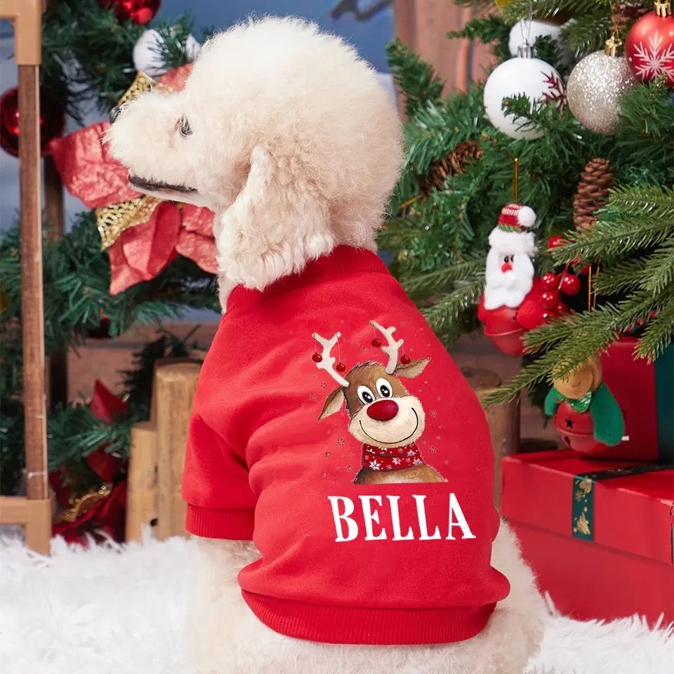 Personalized Dog Christmas Sweater | Custom Holiday Jumper