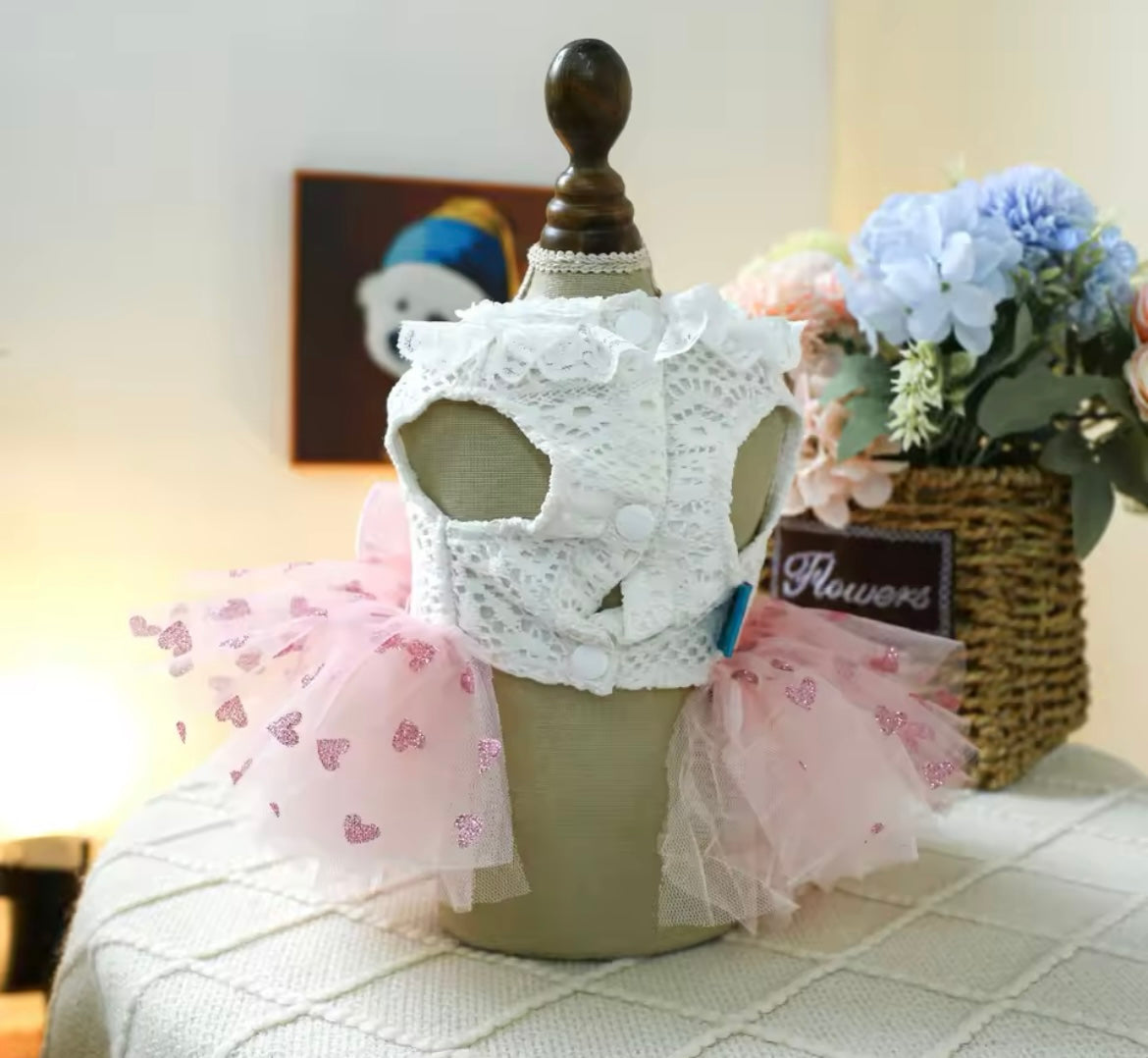 Laura Dog Dress | Designer Dog Dress for Small Dogs