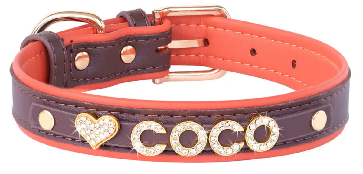 Amber Mocha Crown Name Dog Collar | Customized Dog Collar
