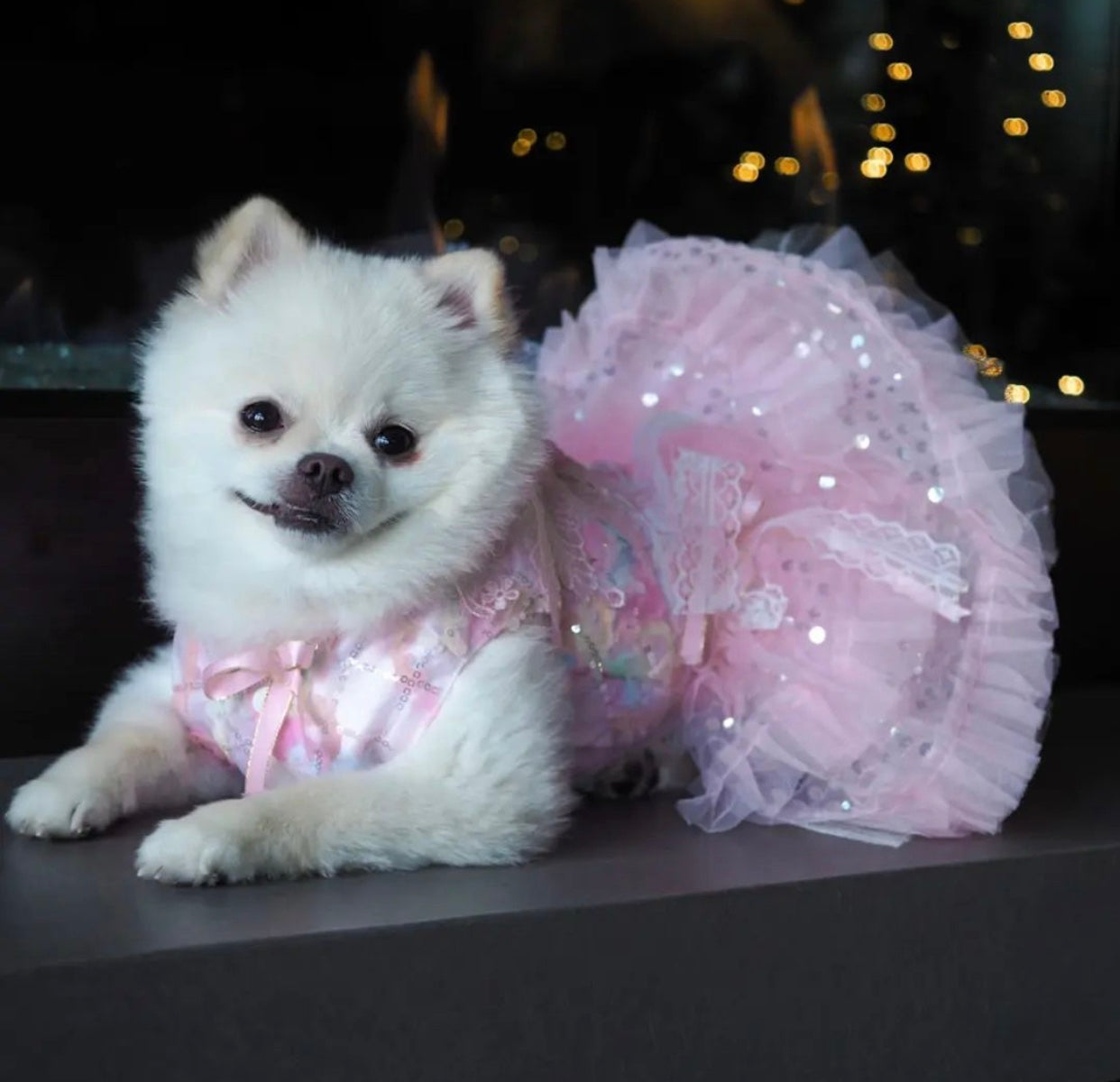 Tinkerbell Dog Dress – Luxury Fairy-Inspired Outfit for Dogs