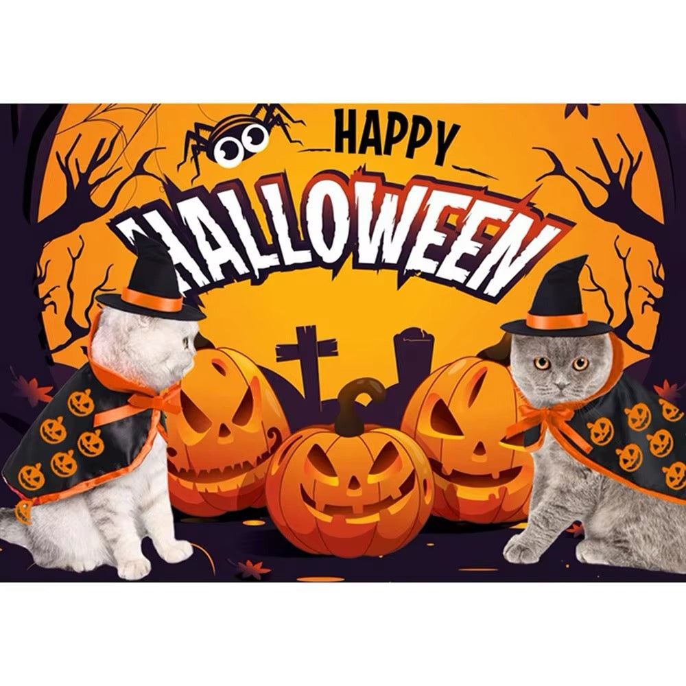 Pumpkin Witch Halloween Costume for Dogs – Fall Dog Outfit
