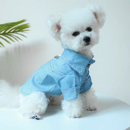 Denim Dog Tee | Casual Dog T-Shirt Outfit