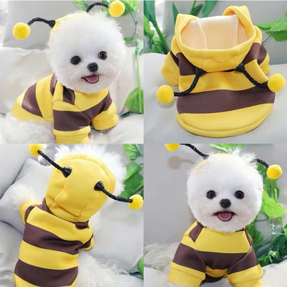 Bumble Bee Dog Costume | Halloween Dog Costume