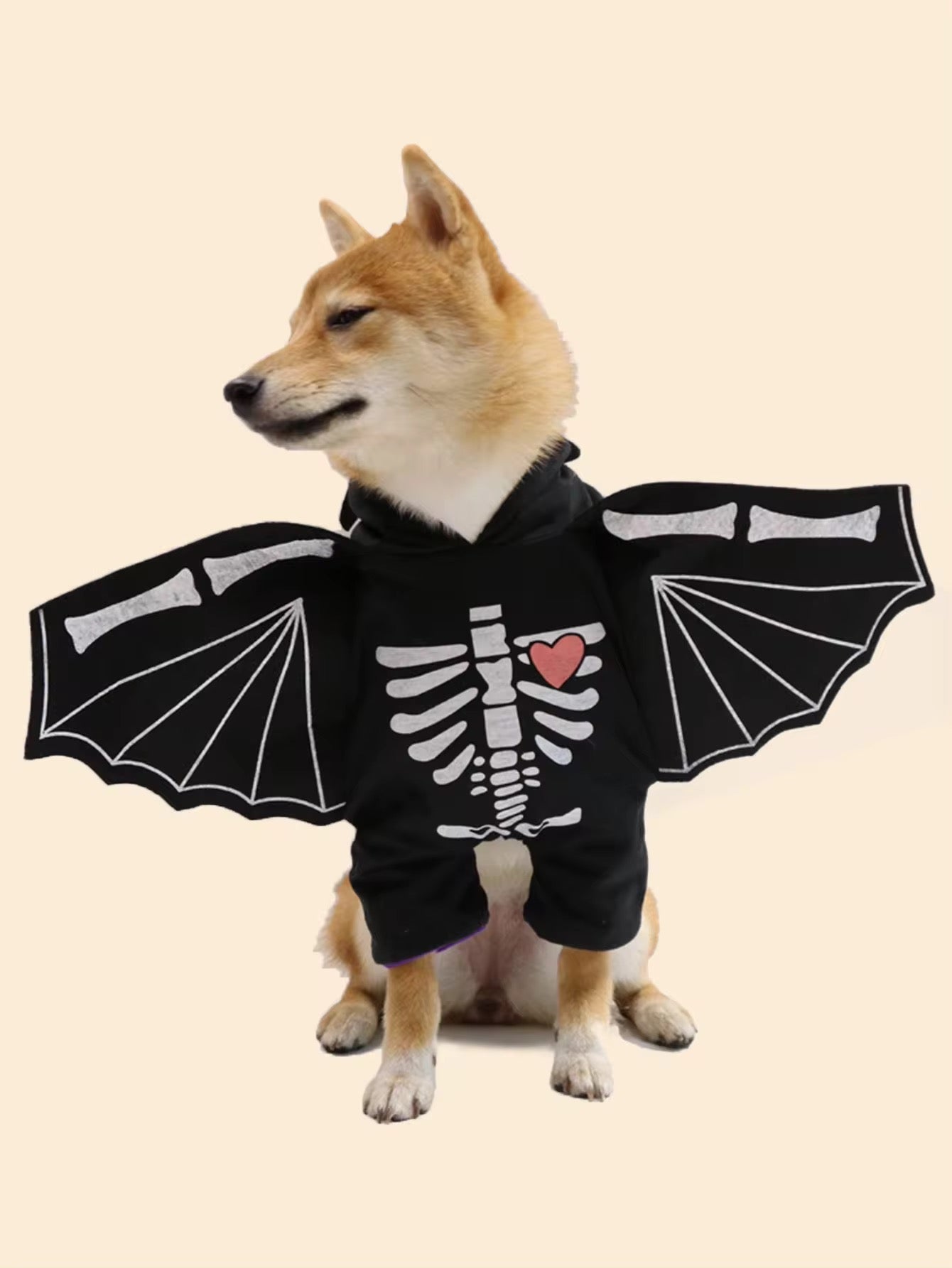 BatDog Halloween Costume | Dog Costume with Hat