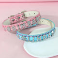 Customized Dog Collar