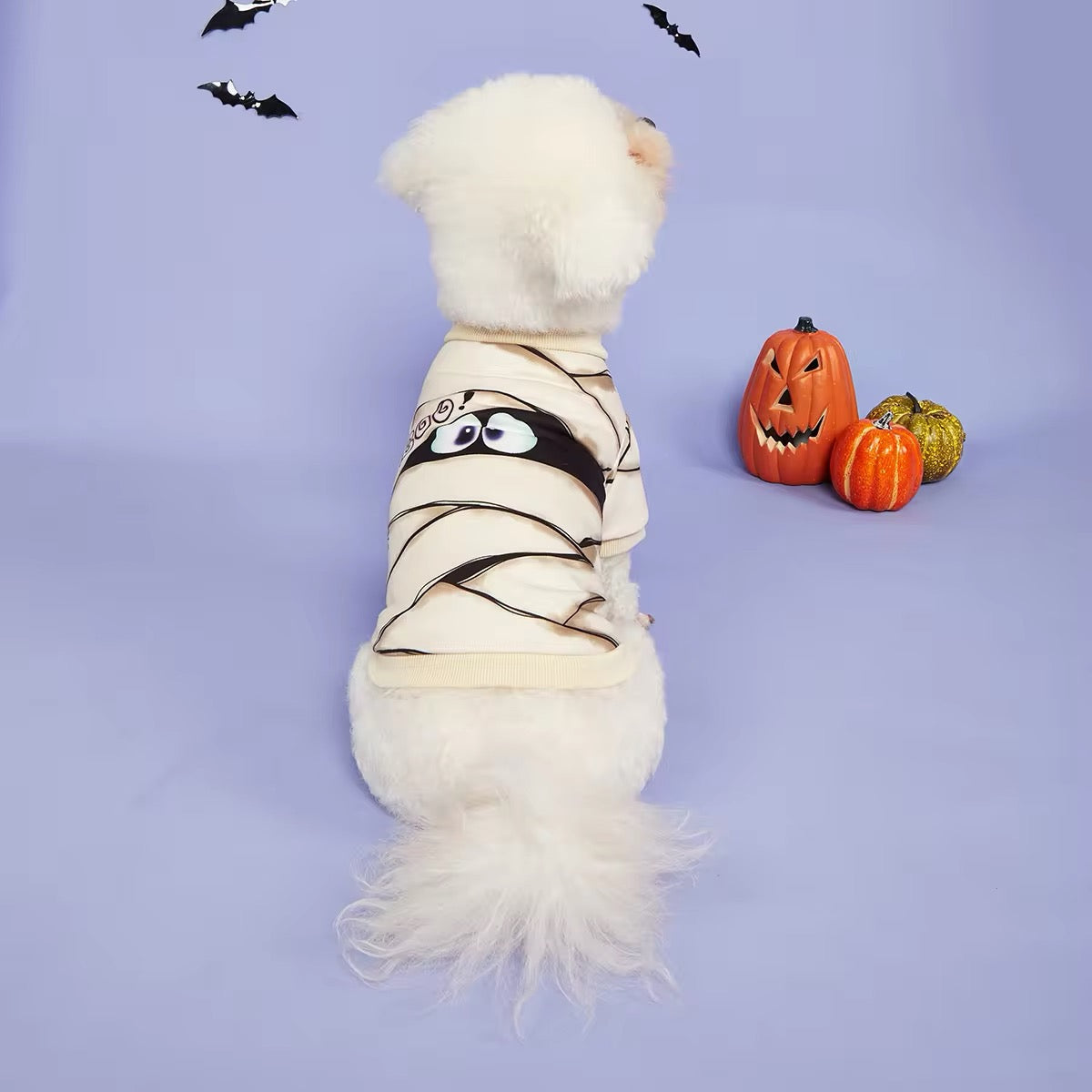 Mummy Dog Costume | Halloween Dog Costume