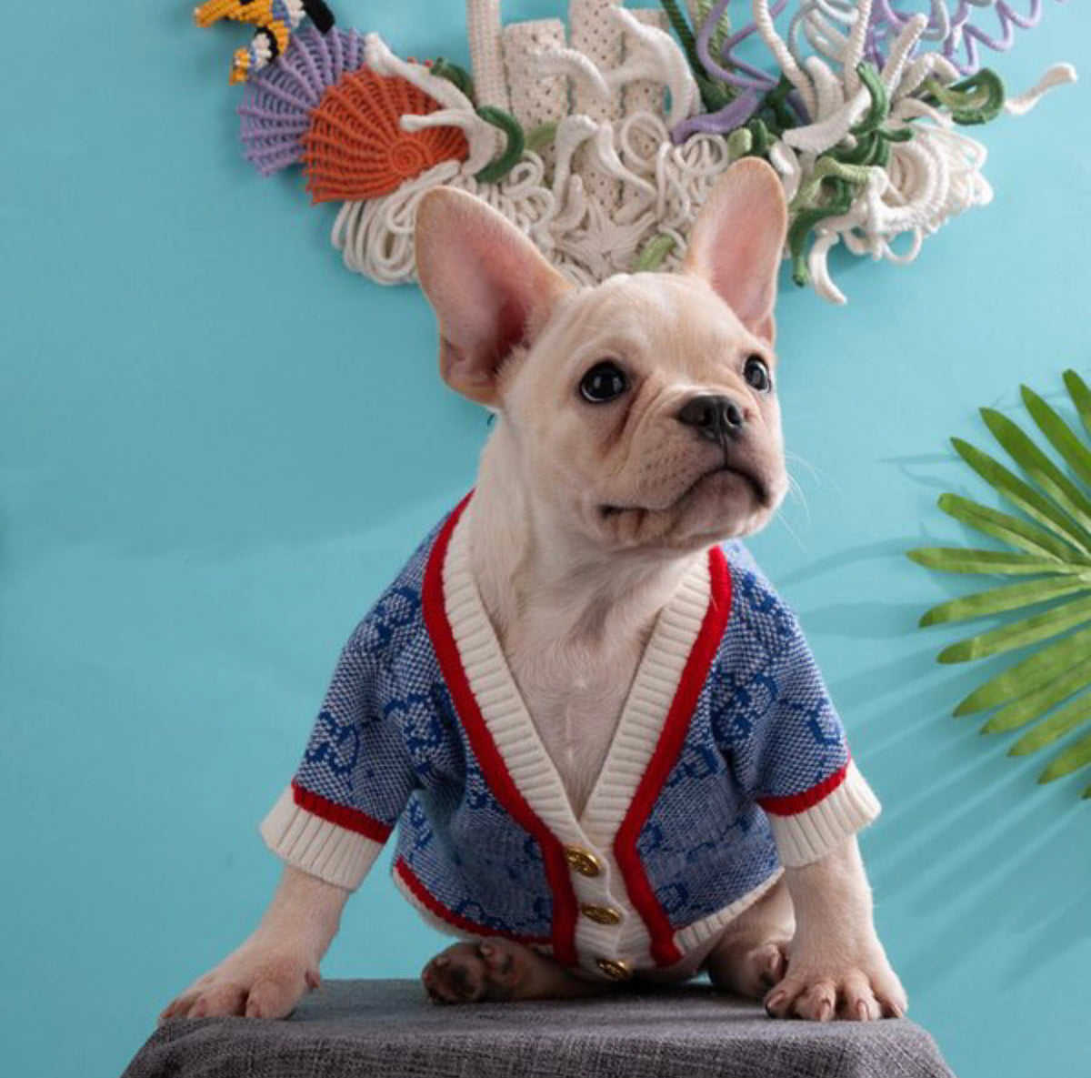 Gigi Dog Sweater | Knit Top