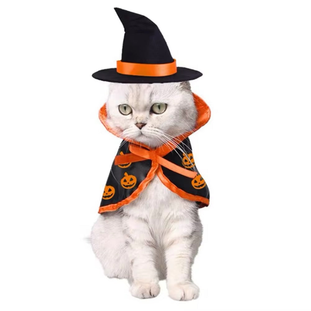 Pumpkin Witch Halloween Costume for Dogs – Fall Dog Outfit