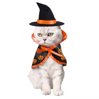 Pumpkin Witch Halloween Costume for Dogs – Fall Dog Outfit