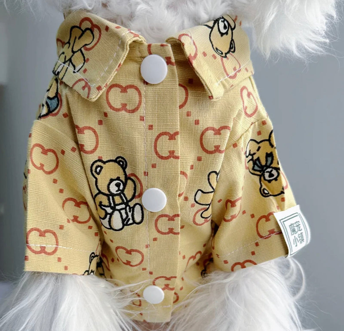 Gigi Bear Dog T-Shirt | Dog T-Shirt