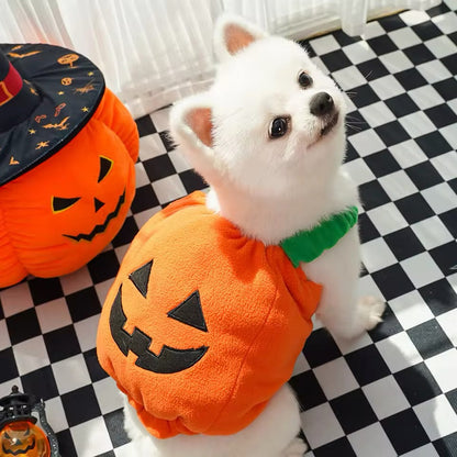 Pumpkin Dog Halloween Costume | Dog Costume for Halloween