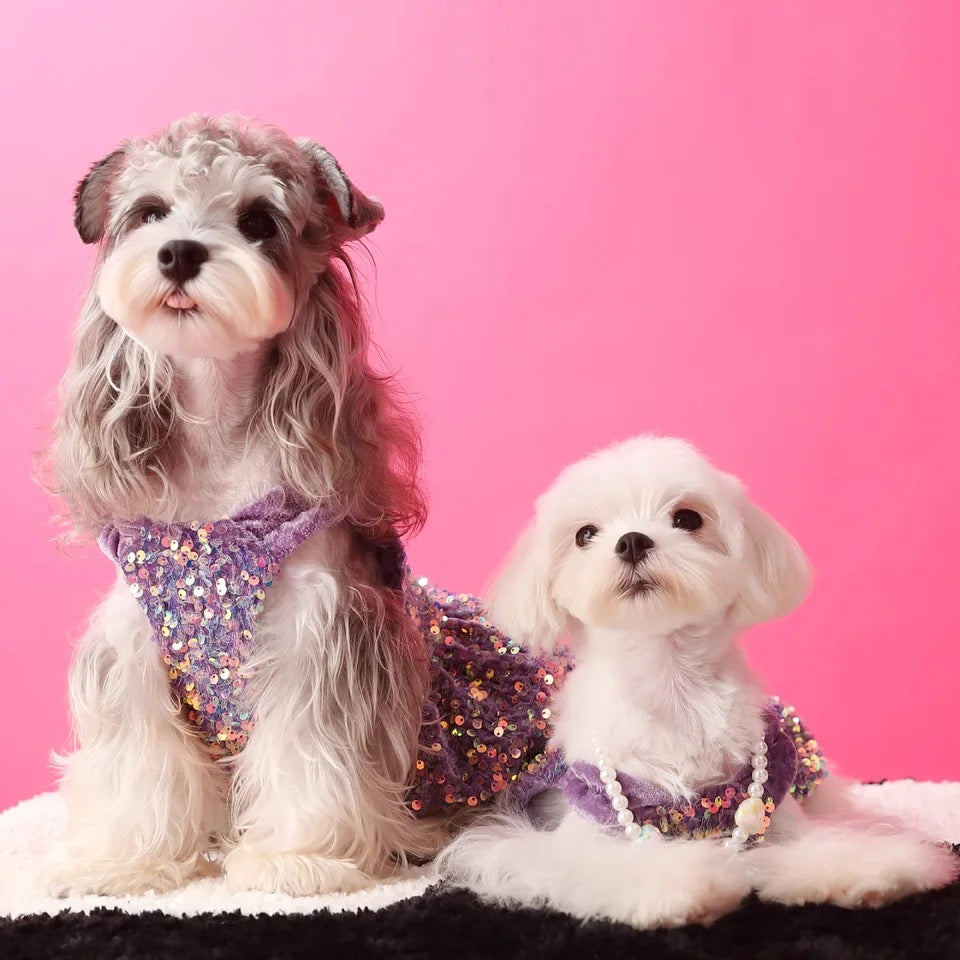 New Years Lover Sequin Dog Dress | Luxury Party Pet Dress