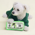 Dolla Bills Toy – Plush Dog Toy