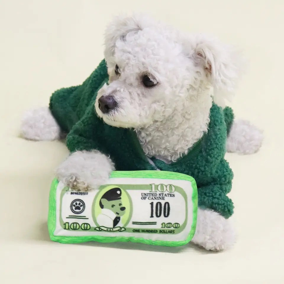 Dolla Bills Toy – Plush Dog Toy