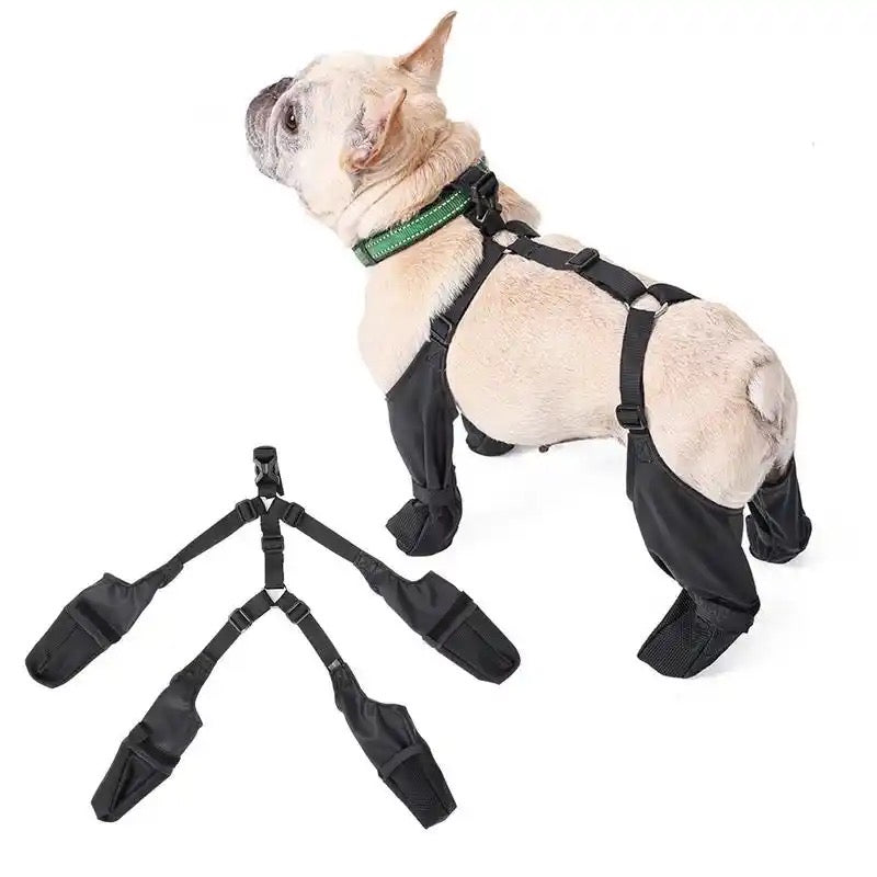 Suspender Dog Boots | Fashion Dog Boots with Suspenders
