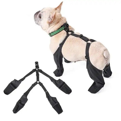 Suspender Dog Boots | Fashion Dog Boots with Suspenders