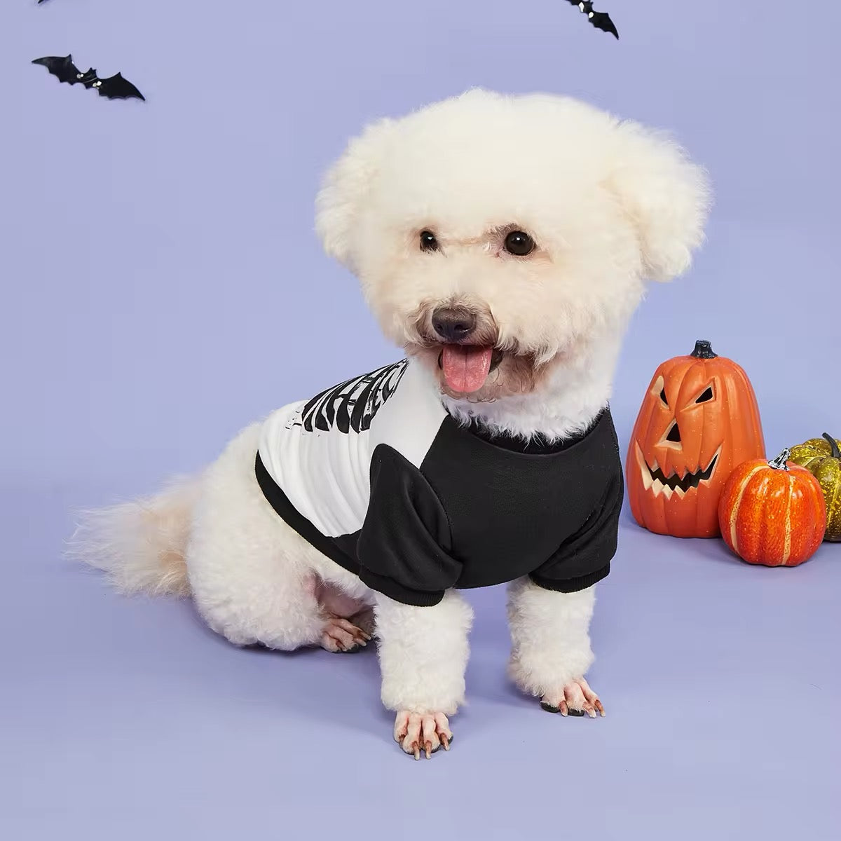 Skeleton Bones Dog Costume | Halloween Dog Costume
