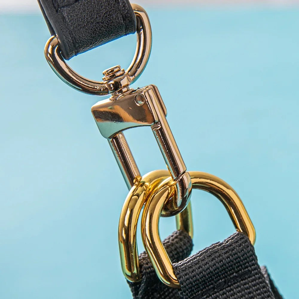 Chewnel Harness Set | Dog Harness Leash Set