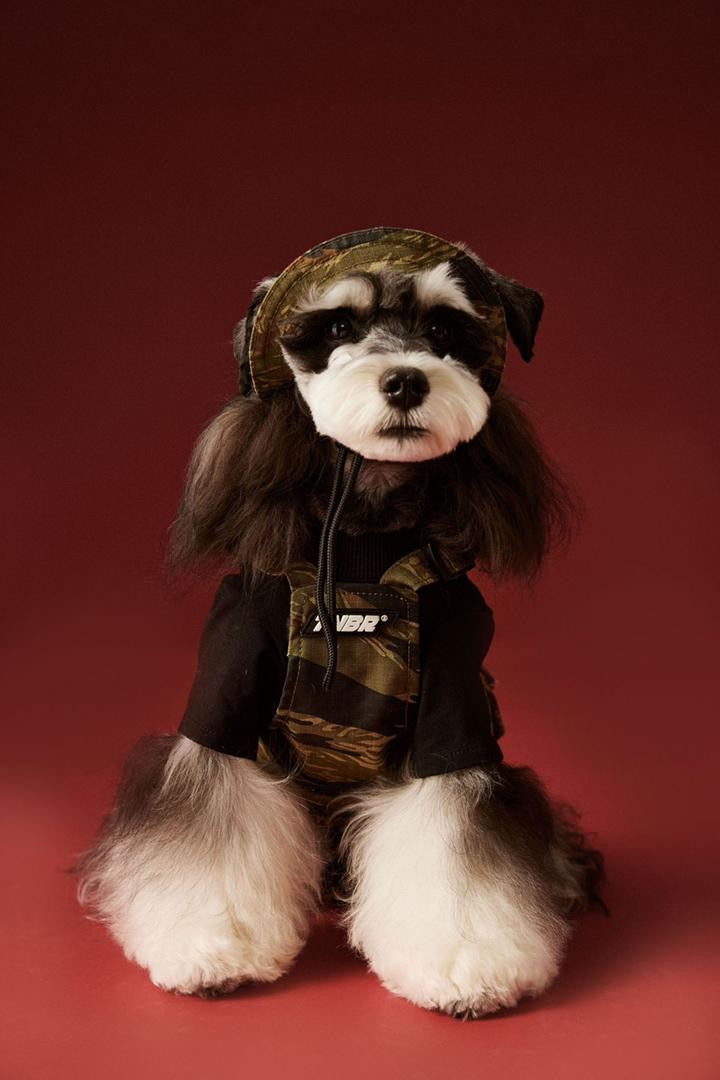 Fall Dog Vest | Dog Vest for Cool Weather