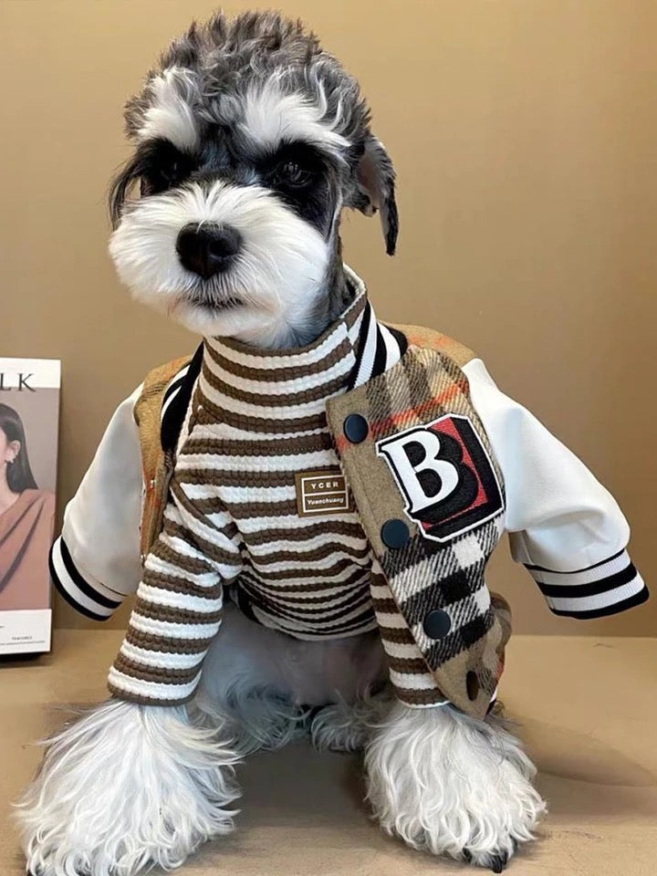 Brrbrry Swag Dog Jacket | Lightweight Dog Jacket
