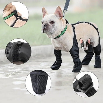 Dog Boots | Waterproof Dog Boots for Winter & Rain