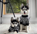 Doggy Drip Sweater – Luxury Streetwear Knit for Dogs