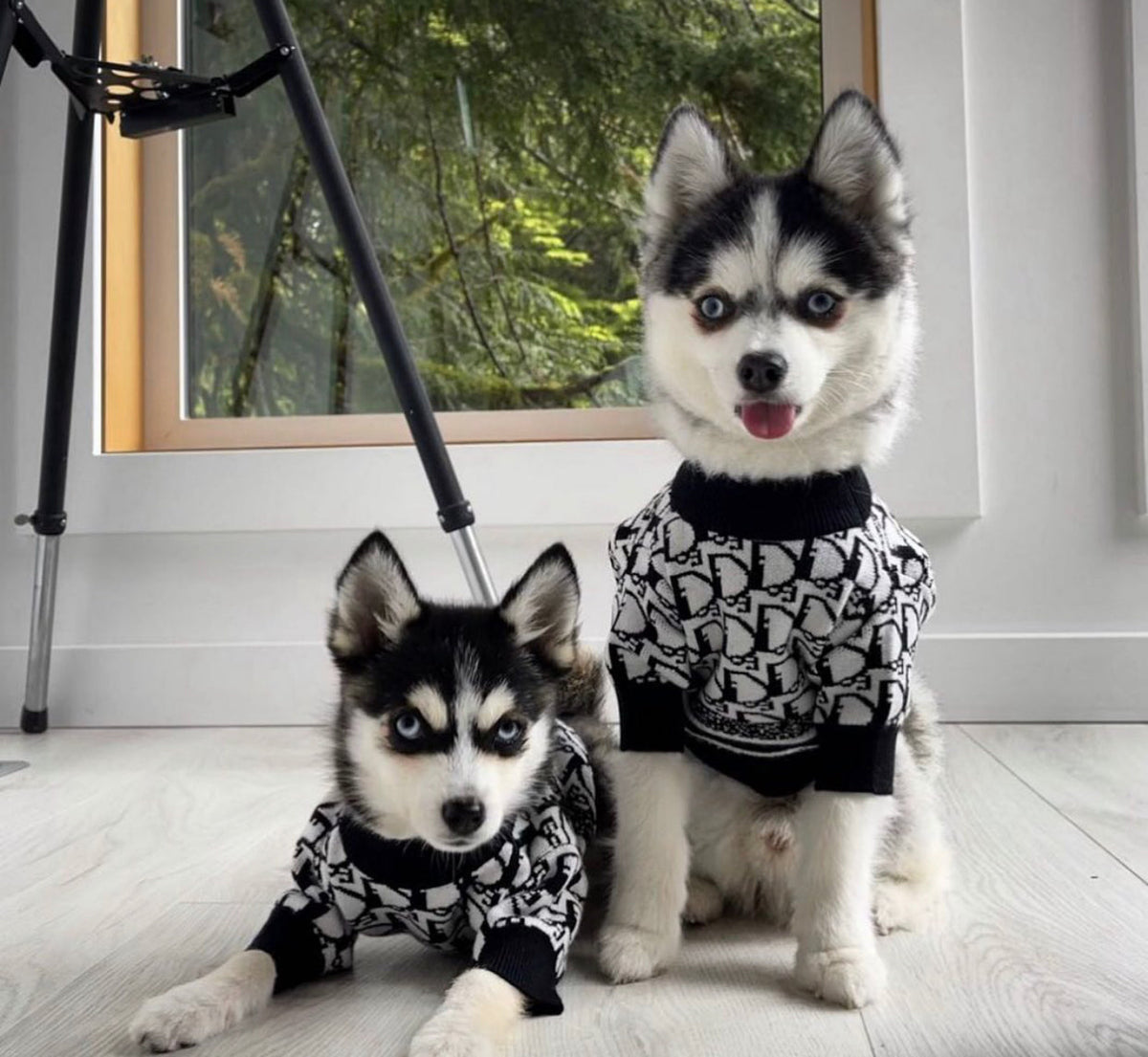 Doggy Drip Sweater – Luxury Streetwear Knit for Dogs