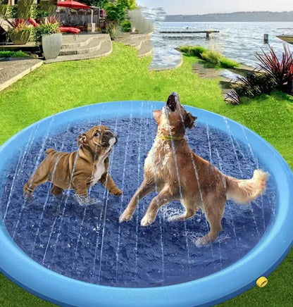 Outdoor Dog Pool | Dog Swimming Pool