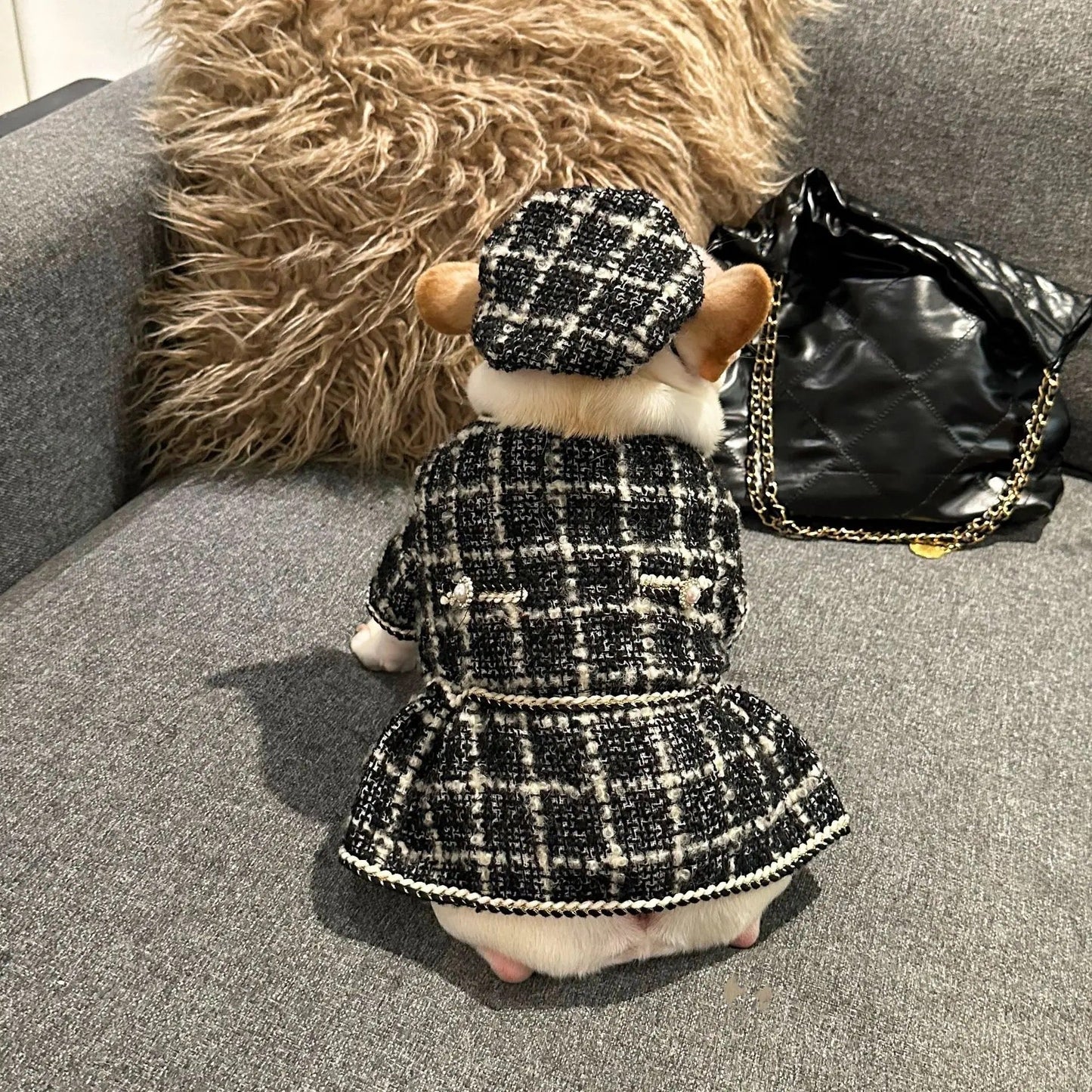 Dog Dress Coat & Hat Set | Chewnel Tweed Two-Piece Outfit