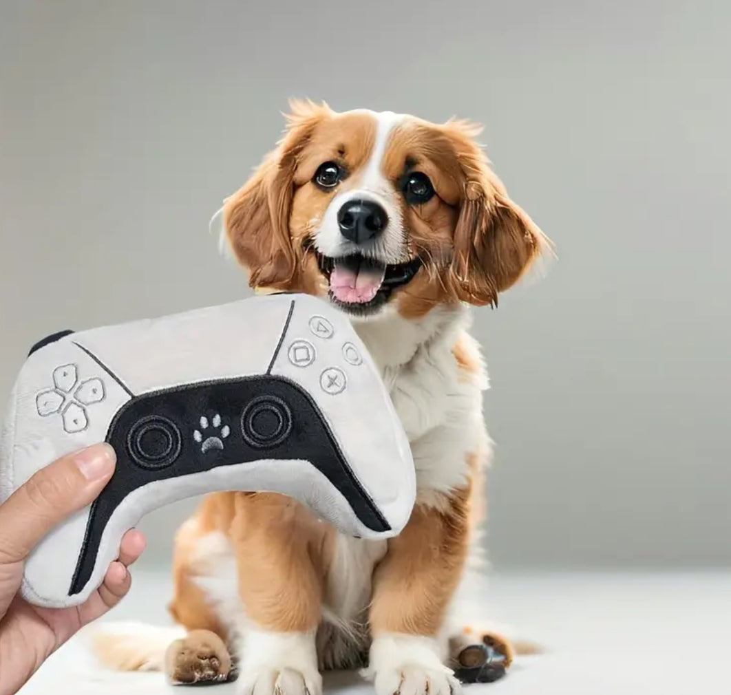 Pawstation Dog Toy | Interactive Remote Control Dog Toy