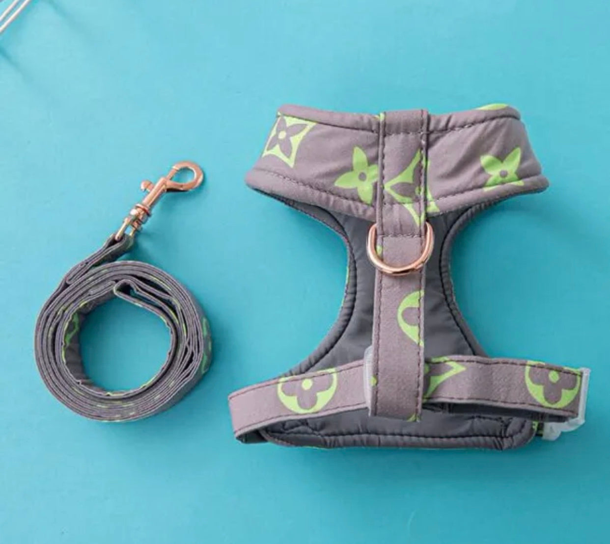 Chewy Pawtton Dog Harness and Leash Set | Dog Walking Outfit