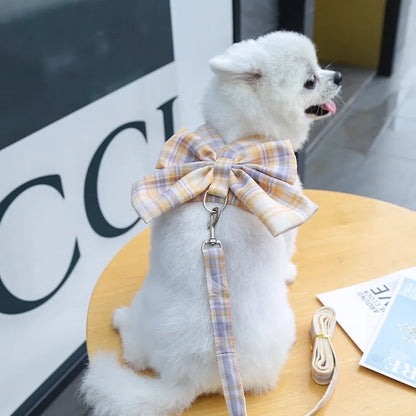 Daisy Print Dog Harness and Leash Set | Dog Walking Outfit