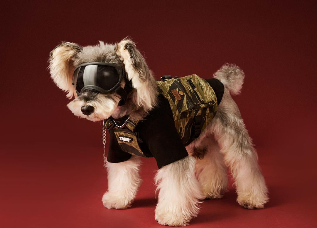 Fall Dog Vest | Dog Vest for Cool Weather