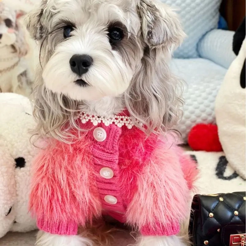 Dog Sweater | I’m Fabulous Dog Sweater