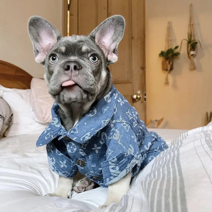 Dog Sweater Shirt | Chewy Pawtton Layered Knit
