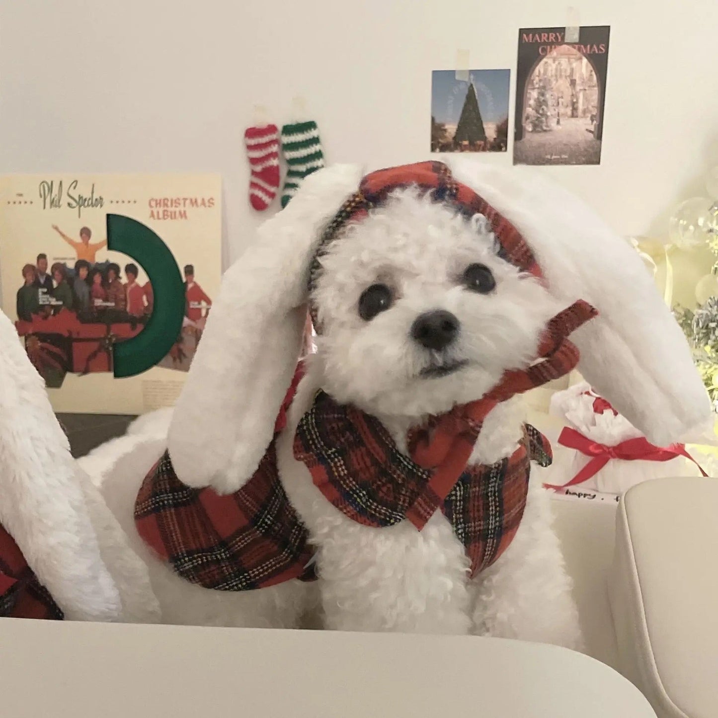 Winter Bunny Dress for Dogs – Red Plaid Dog Dress with Hat