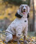 Winter Dog Jacket | Dog Jacket with Hood for Cold Weather
