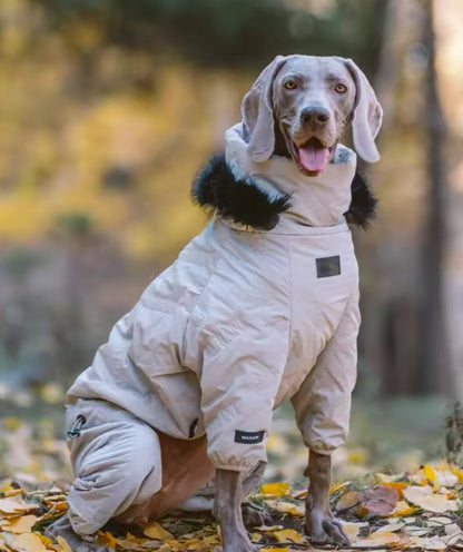 Winter Dog Jacket | Dog Jacket with Hood for Cold Weather