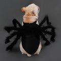 Spider Halloween Costume | Halloween Dog Costume