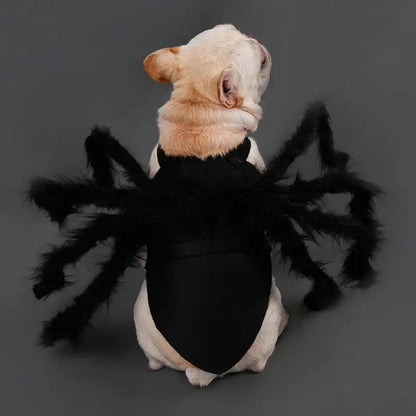 Spider Halloween Costume | Halloween Dog Costume