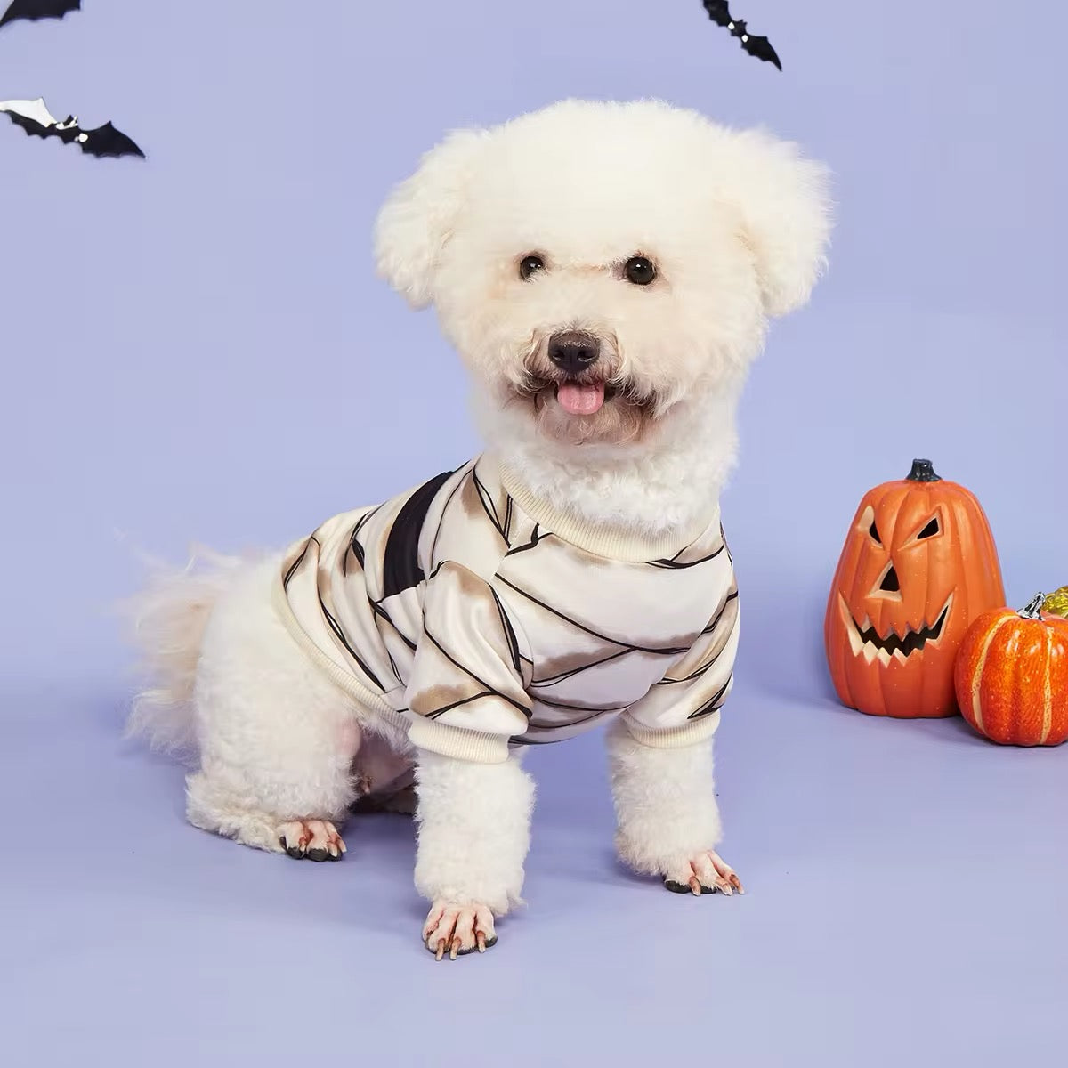 Mummy Dog Costume | Halloween Dog Costume