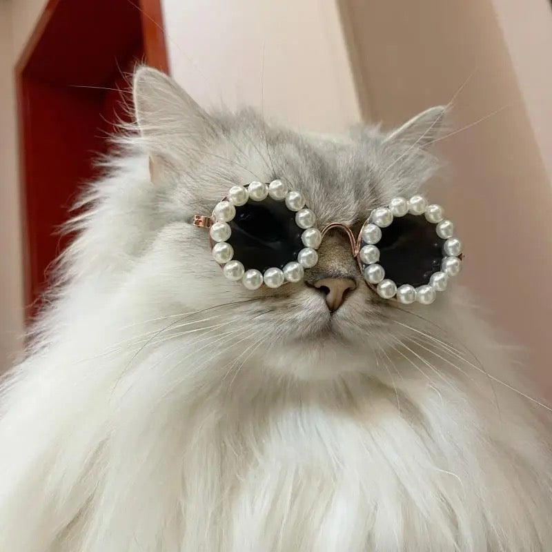 Pearly Dog Sunglasses | Pet Sunglasses