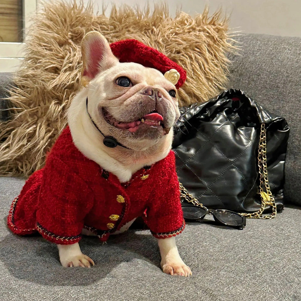 Dog Dress & Hat Set | Chewnel Tweed Dog Outfit