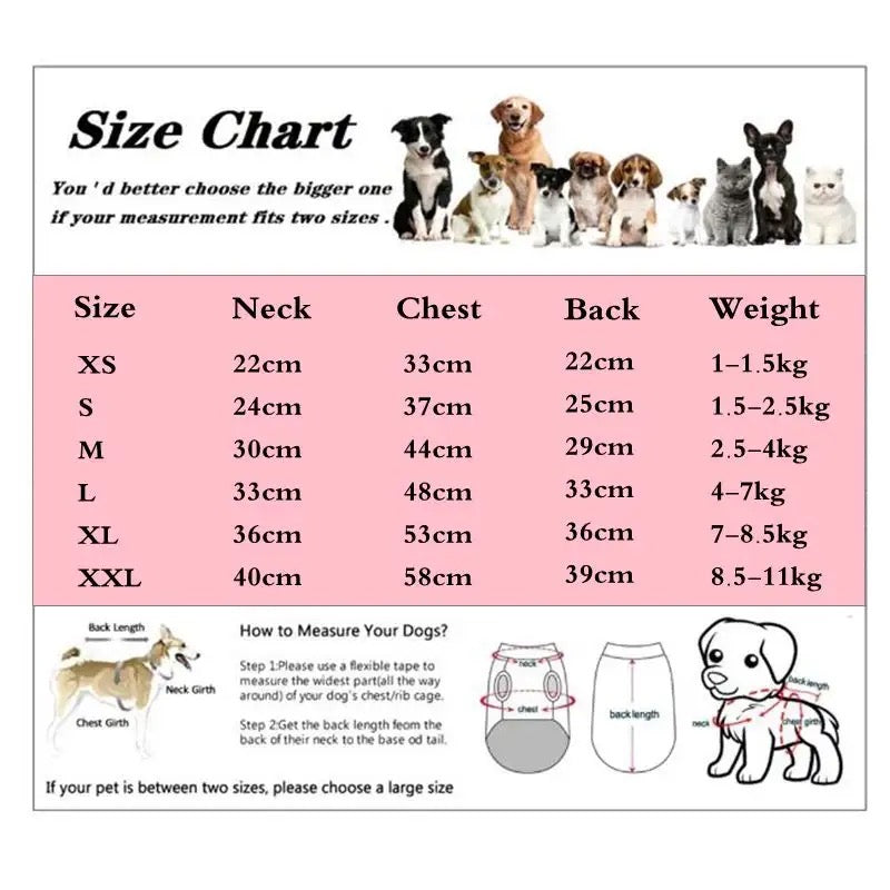 Dog Jacket | Sweetheart Dog Coat