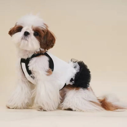 Tina Dress for Dogs – Elegant Tutu Dog Dress